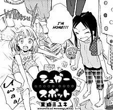 Cover image for Sugar Spot