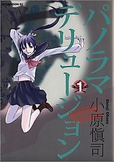 Cover image for Panorama Delusion