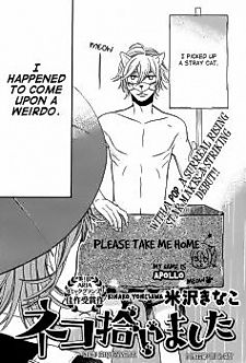 Cover image for I Picked Up a Cat