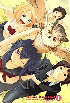 Cover image for Meina with Owl