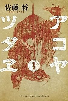 Cover image for The Chronicle of Akoya