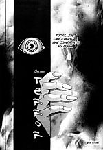 Cover image for Terror