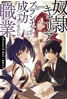 Cover image for The Successful Business of a Slave Career Planner