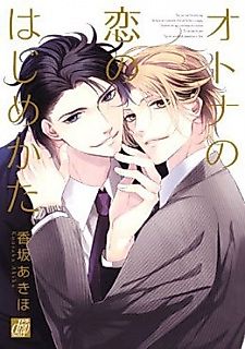 Cover image for How to make love in the office