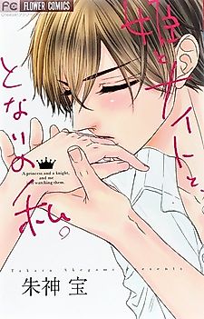 Cover image for A princess and a knight, and me just watching them.