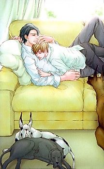 Cover image for Endless Comfort