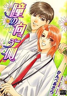 Cover image for Hitomi no Mukougawa