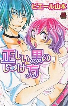 Cover image for Tadashii Otoko no Shitsukekata