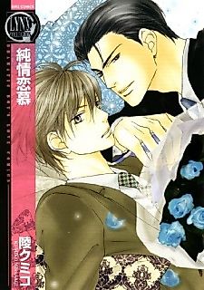 Cover image for Love Devotion