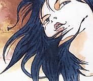 Cover image for Cosmos Flower
