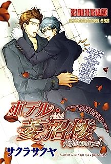 Cover image for Hotel Hishinuma-Roh