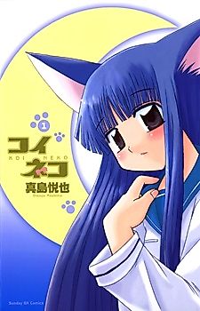 Cover image for Cat in Heat