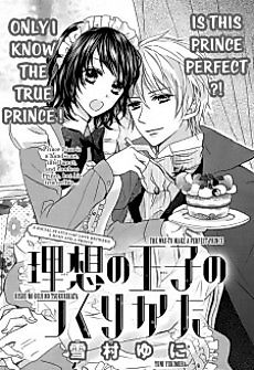 Cover image for Making a Perfect Prince