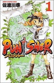 Cover image for The Punisher