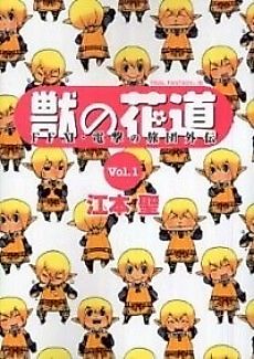 Cover image for Kemono no Hanamichi: Final Fantasy XI