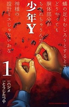 Cover image for Boy Y