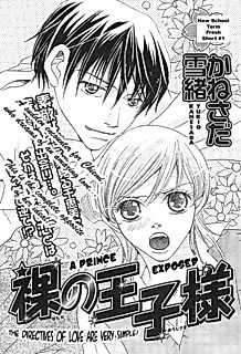 Cover image for A Prince Exposed