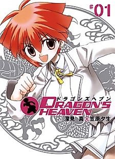 Cover image for Dragon's Heaven