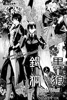 Cover image for Black Wolf and Silver Fox