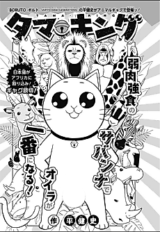 Cover image for Tama King