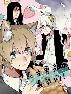 Cover image for The Idiots at the High School of Gifted Males!