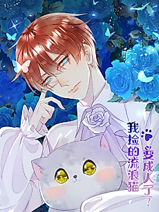 Cover image for This Stray Cat Ain't Straight