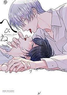 Cover image for Snake x Cat