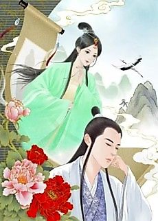 Cover image for Meiren Huajuan