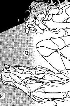 Cover image for The White Garden