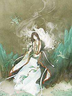 Cover image for The Misguided