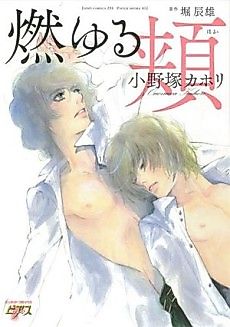 Cover image for Moyuru Hoho