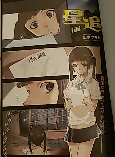 Cover image for Hoshioi