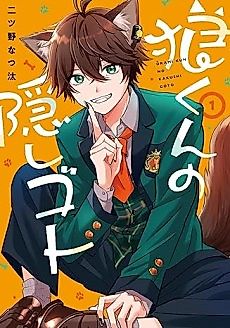 Cover image for The Wolf Boy's Secret