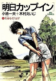 Cover image for Ashita Cup In