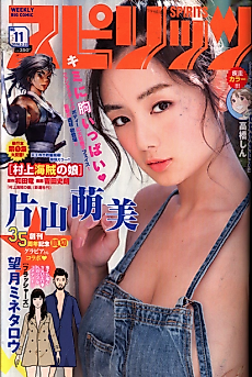 Cover image for Flushers