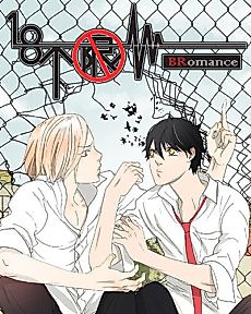 Cover image for Bromance