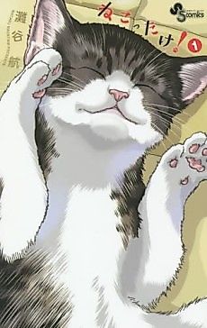 Cover image for Cat + Crazy