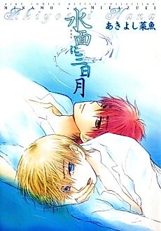 Cover image for Minamo ni Mikazuki