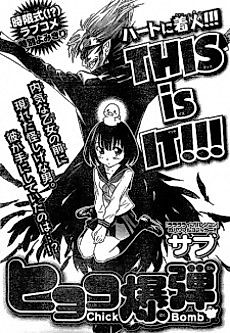 Cover image for Chick Bomb