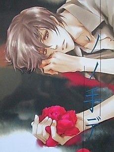 Cover image for Sono Te de