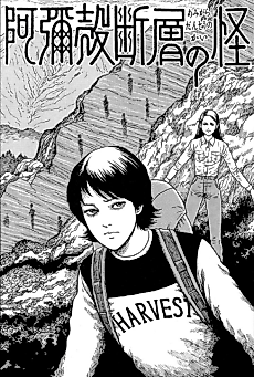 Cover image for The Enigma of Amigara Fault