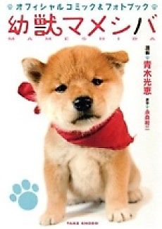 Cover image for Yoju Mame-shiba