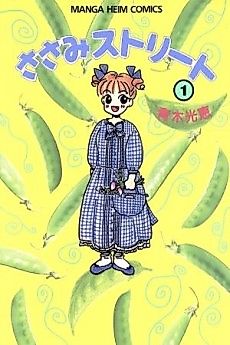 Cover image for Sasami Street