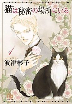 Cover image for The Cat Is in a Secret Place