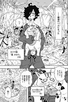 Cover image for Tarou and Rodriguez