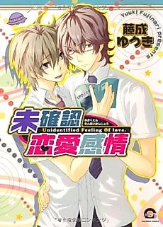 Cover image for Unidentified Feeling of Love