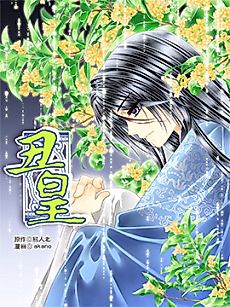 Cover image for The Ugly Emperor