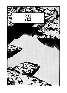 Cover image for The Swamp