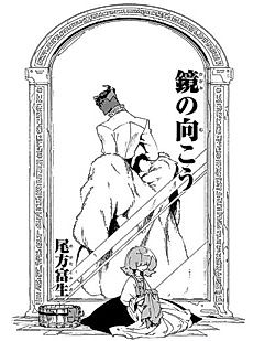 Cover image for Beyond the Mirror