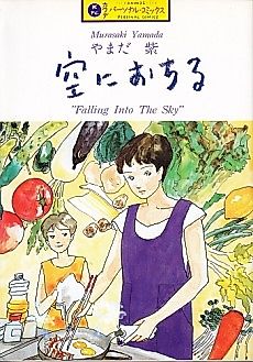 Cover image for Falling Into The Sky